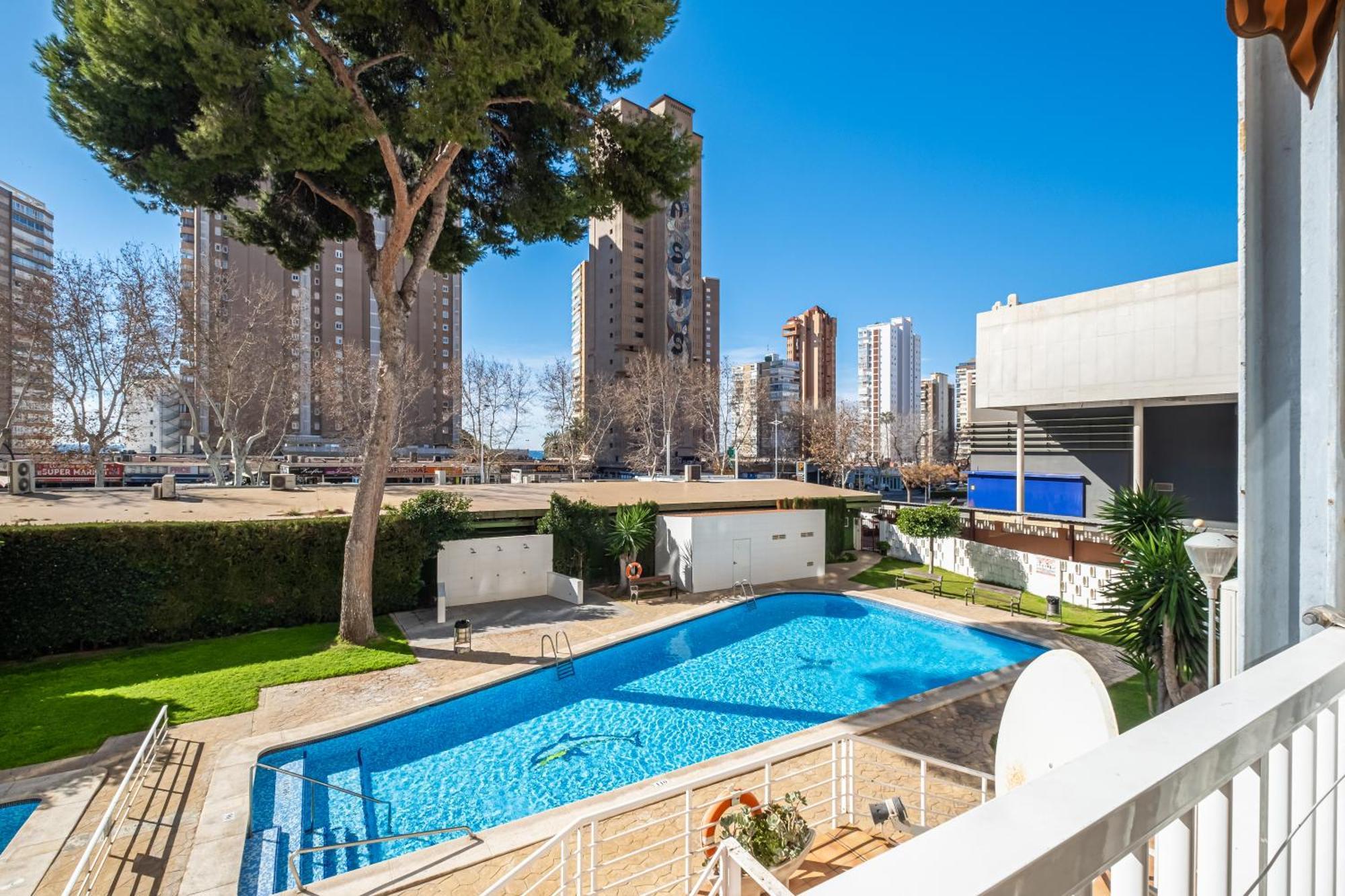 Albatros 2-6 Estudio Levante Benidorm