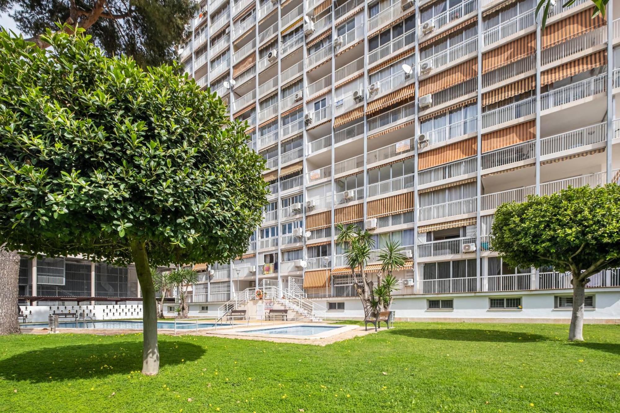 Appartamento Albatros 2-6 Estudio Levante Benidorm